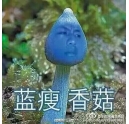 藍(lán)瘦香菇什么梗 柯尼卡美能達(dá)復(fù)印機(jī)新代碼？